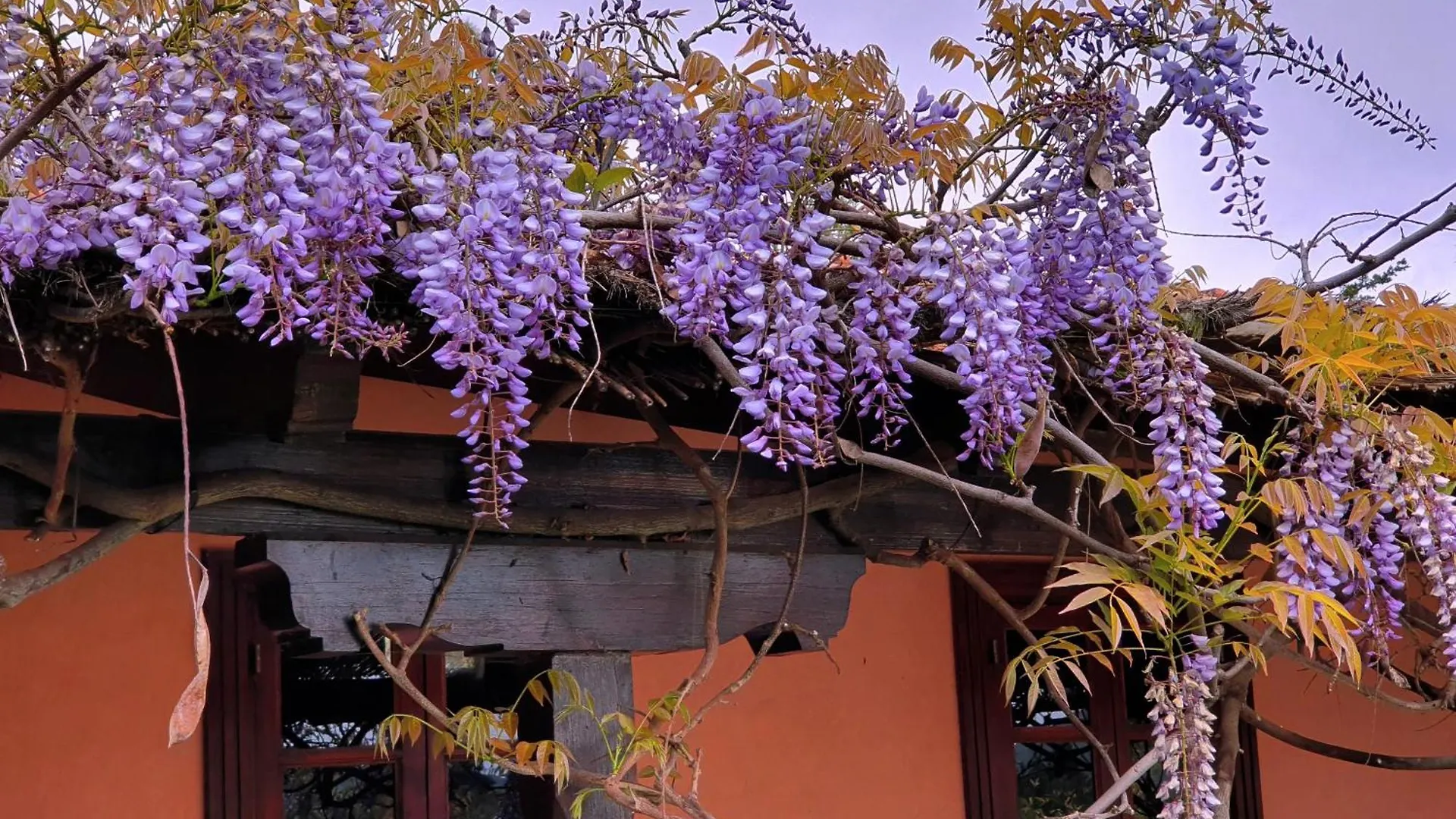 Bonita Y Acogedora Casa Rural Con Piscina Privada En Santa Brigida Santa Brigida (Gran Canaria)